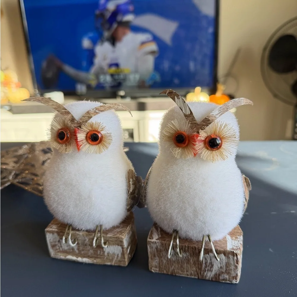 Two Decorative Shimmering‎ White Owl and Ornaments